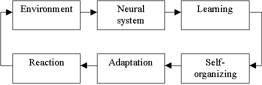 The general model of interaction